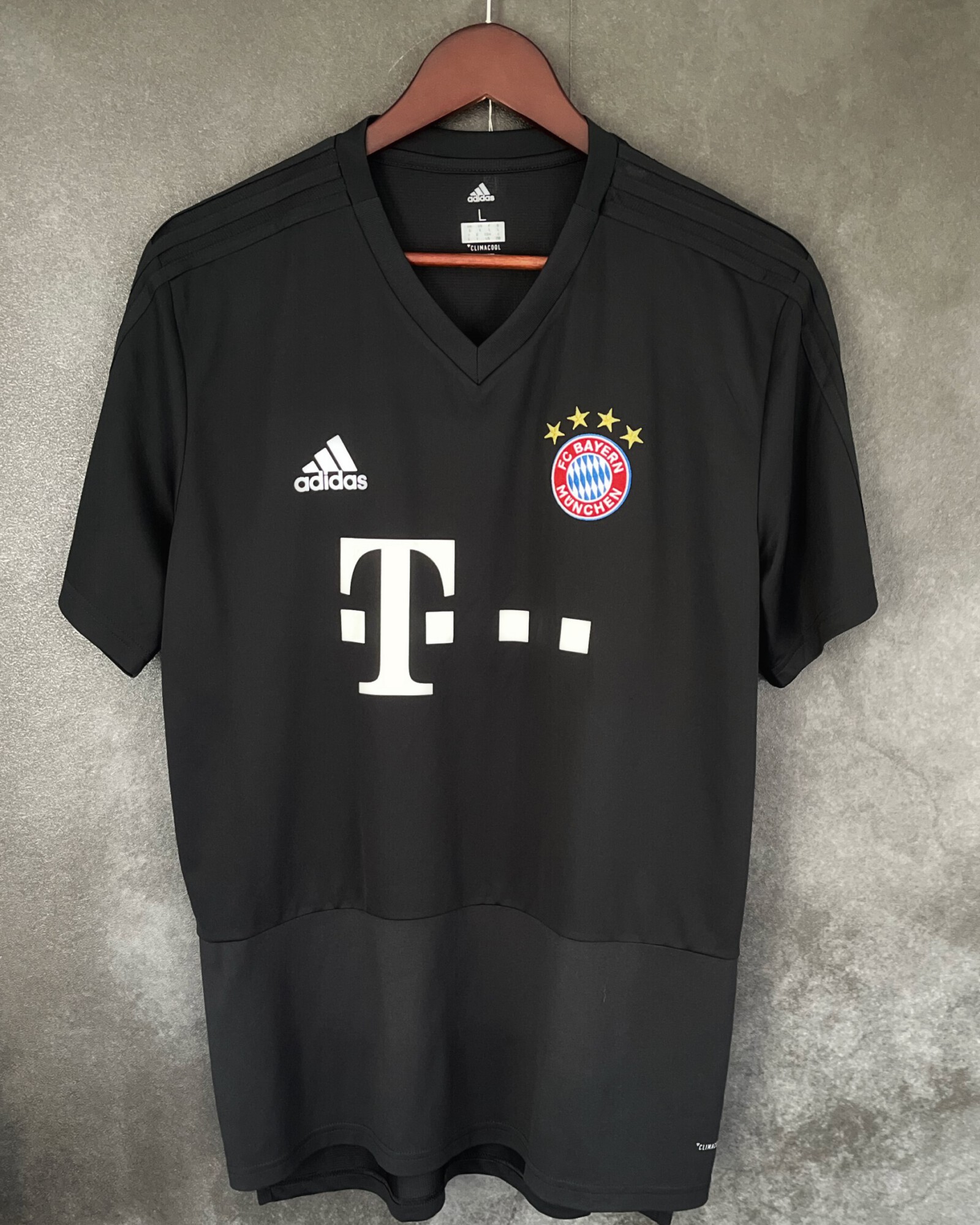 FC Bayern München 2018/19 Training Large 10/10