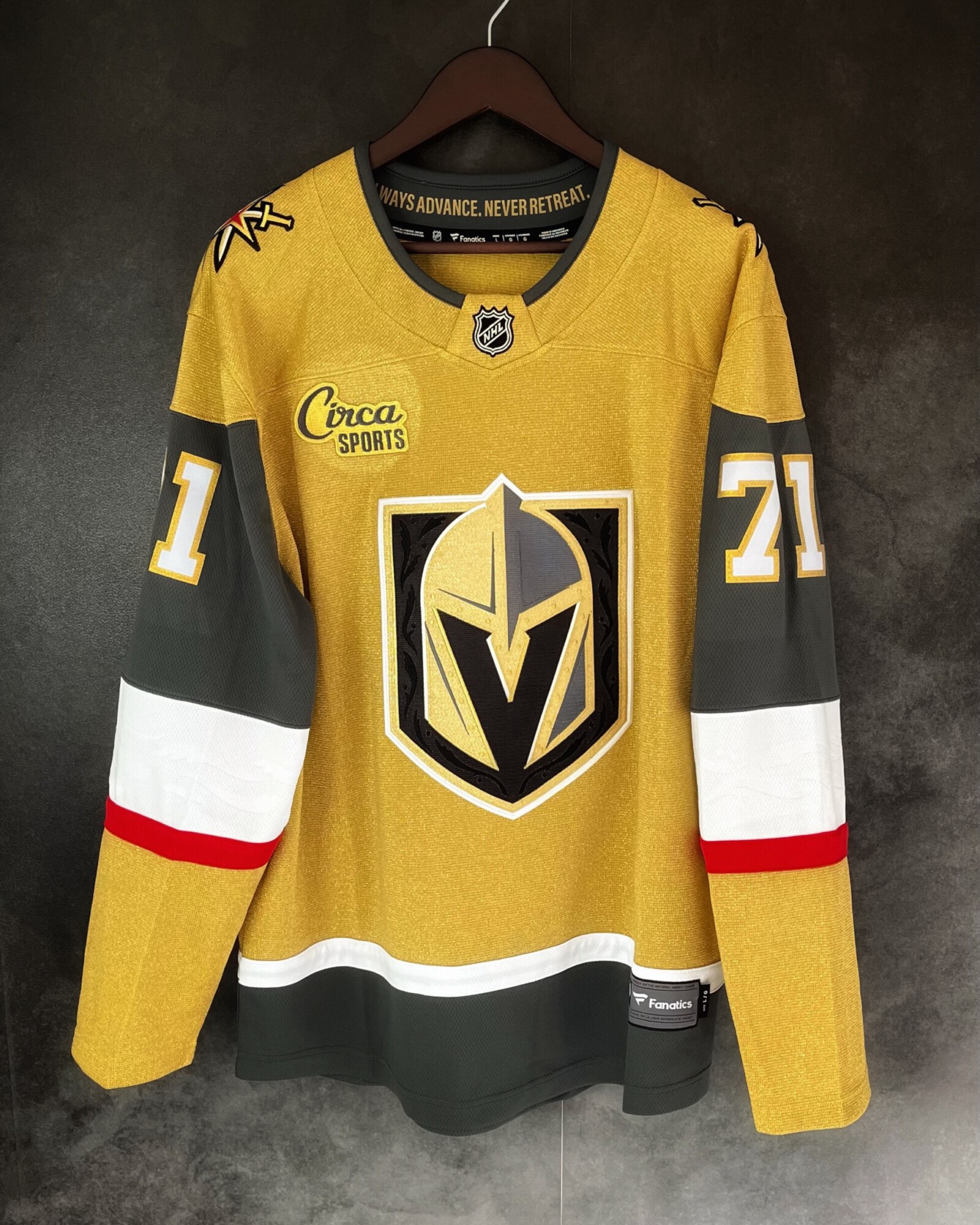 Las Vegas Golden Nights 2023/24 NHL Large 9.5/10